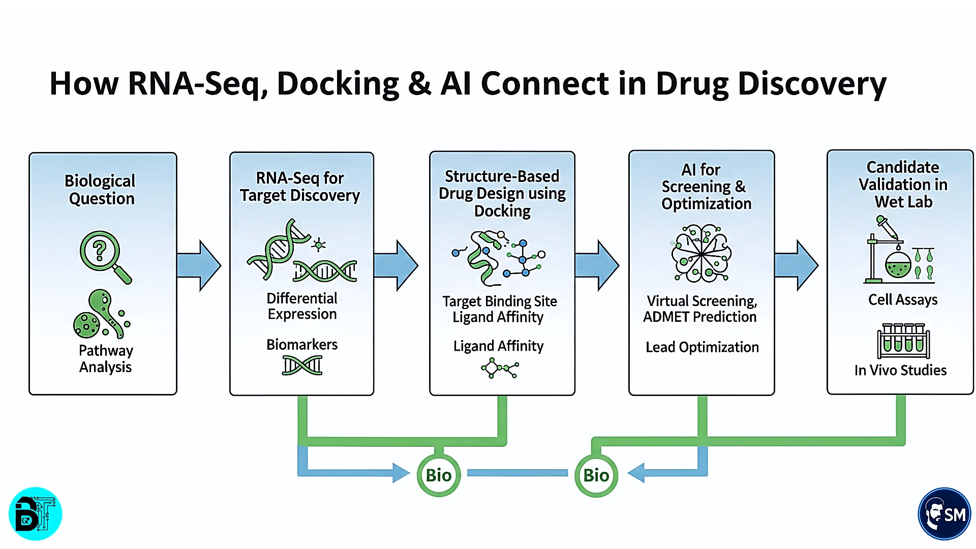 RNA-Seq and docking integration process